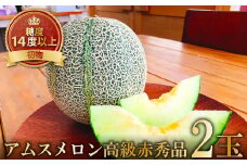初物 糖度14度以上のアムスメロン 高級赤秀品 2玉【先行予約 メロン めろん 果物 くだもの フルーツ アムスメロン 糖度14度以上 高級 赤秀品 期間限定 季節限定 早期予約】
