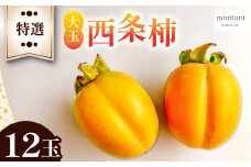 特選 大玉西条柿12玉【先行予約 柿 かき カキ 果物 フルーツ 大玉 西条柿 高糖度 渋抜き処理済 12玉 3L 期間限定 季節限定 先行予約 早期予約 10月下旬～11月上旬発送】