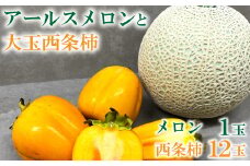 糖度14度以上のアールスメロン秀品1玉と大玉西条柿12玉のセット【先行予約 メロン 柿 期間限定 季節限定 早期予約 果物 フルーツ めろん アールスメロン 秀品 2L 1玉 糖度14度以上 青肉 西条柿 3L 12玉 渋抜き済み 高糖度 大玉サイズ ギフトBOX 冷蔵 10月中旬～11月上旬発送】