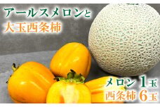 糖度14度以上のアールスメロン秀品1玉と大玉西条柿6玉のセット【メロン 柿 先行予約 期間限定 季節限定 早期予約 果物 フルーツ めろん アールスメロン 秀品 2L 1玉 糖度14度以上 青肉 西条柿 かき 3L 6玉 渋抜き済み 高糖度 大玉サイズ】