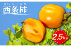 とびっきり甘い西条柿 2.5kg【先行予約 果物 フルーツ 柿 かき 西条柿 高糖度 渋抜き処理済 2.5キロ 期間限定 季節限定 早期予約 11月発送】