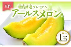 【先行予約】［夏作］糖度厳選プレミアム アールスメロン 1玉【メロン 先行予約 青肉 めろん 早期予約 期間限定 季節限定 果物 くだもの フルーツ アールスメロン 1玉 夏作 糖度16度以上 7月～8月発送】