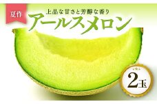【先行予約】［夏作］アールスメロン 2玉【メロン 青肉 先行予約 めろん 2玉 期間限定 季節限定 早期予約 果物 フルーツ アールスメロン 夏作 7月発送】