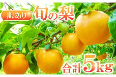 訳あり梨 5kg（規格外・家庭用）【先行予約 数量限定 期間限定 季節限定 幸水 豊水 新高 新興 瑞秋 訳あり 梨 5kg 果物 フルーツ 梨 なし わけあり 家庭用 不揃い 規格外】