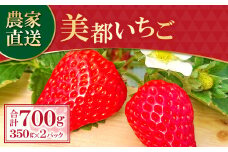 【初物！農家直送】美都いちご（350g×2パック）【先行予約 いちご 2パック 果物 フルーツ 苺 イチゴ 美都いちご 紅ほっぺ かおりの よつぼし おいCベリー 350g×2パック 初物 新鮮 季節限定 早期予約 11月20日頃～12月15日頃発送】