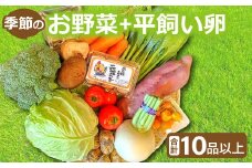新鮮！季節のお野菜と平飼い卵のセット（10～12品）【野菜 10～12品以上 季節の野菜 旬 新鮮 取れたて お楽しみ 卵 たまご 平飼い卵 10個 破損保証 4個 詰め合わせ セット 冷蔵】