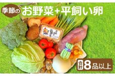 新鮮！季節のお野菜と平飼い卵のセット（8～10品）【野菜 やさい 旬の野菜 季節の野菜 おまかせ 新鮮 8～10品 卵 たまご 平飼い卵 6個 破損保証 2個 詰め合わせ セット 冷蔵】