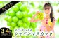 絶対鮮度！農家直送のシャインマスカット3～4房（2kg以上）