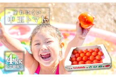 熟感トマトさひめ 4kg（24玉）【野菜 やさい トマト とまと 熟感トマト 桃太郎ヨーク 4kg 24玉 パスタ 煮込み 炒め物 日持ち 期間限定 季節限定 9月～3月発送】