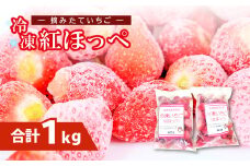 益田市産 冷凍いちご（紅ほっぺ）500g×2袋【いちご 甘い 冷凍 1kg ヘタなし 果物 フルーツ 苺 イチゴ あまい 冷凍イチゴ ストロベリー冷凍 紅ほっぺ 500g×2袋 摘みたて】