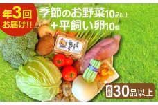 【3回定期便】季節のお野菜と平飼い卵のセット (10~12品) 【定期便 コース 野菜 やさい 旬の野菜 季節の野菜 おまかせ 採れたて 減農薬 減化学肥料 新鮮 10～12品 卵 たまご 平飼い卵 10個 破損保証 4個 詰め合わせ セット 冷蔵 全3回 定期】