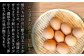 平飼い卵は生臭さがなく、濃厚で旨みとコクがあり、卵がもつ本来の味が際立ちます。