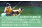 サーフィンと比べて、初心者の方でも簡単に遊ぶことがでるのが魅力の一つ♪