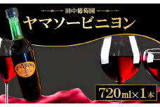 ドメーヌワイン 「ヤマソービニヨン」 (赤ワイン）720ml【赤ワイン ヤマソービニヨン 720ml 9.0% 1本 お酒 ワイン ドメーヌワイン 赤 果物 フルーツ 山ぶどう ぶどう ブドウ 葡萄 自園自醸 ディナー 贈答 ギフト】