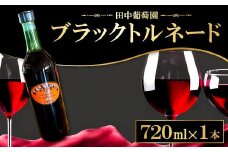 ドメーヌワイン 「ブラックトルネード」 (赤ワイン）720ml【赤ワイン ブラックトルネード 720ml 9.1% 1本 お酒 ワイン ドメーヌワイン フラッグシップワイン 辛口 甘い香り 赤 果物 ぶどう ブドウ 葡萄 自園自醸 ディナー 贈答 ギフト】
