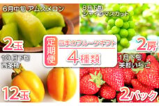 【定期便】益田市特産フルーツギフト4種【四季】【先行予約 定期便 果物定期 4回コース アムスメロン シャインマスカット 西条柿 柿 苺 いちご フルーツ 果物 くだもの 旬  定期 コース ギフト 贈り物 数量限定】