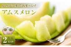 【先行予約】アムスメロン大玉　2玉入り【メロン 先行予約 期間限定 数量限定 季節限定 早期予約 予約 めろん 果物 フルーツ くだもの 糖度14度以上 6月発送】
