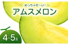 【先行予約】めっちゃ甘いアムスメロン4～5玉【メロン 先行予約 アムス めろん 早期予約 季節限定 期間限定 果物 フルーツ お土産 プレゼント 贈り物 ご褒美 贅沢】