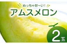 【先行予約】めっちゃ甘いアムスメロン2玉【メロン 先行予約 めろん アムス アムスメロン 早期予約 季節限定 期間限定 果物 フルーツ お土産 プレゼント 贈り物 ご褒美 贅沢】