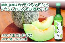 絶品糖度14度以上のアムスメロンとアムスメロンのお酒セット【先行予約 メロン めろん アムスメロン 1玉 メロンのお酒 300ml 1本 セット 糖度14度以上 早期予約 季節限定 期間限定 果物 くだもの フルーツ あむめろ 酒 メロン酒 フルーツ酒 アムス アルコール度数 8度】