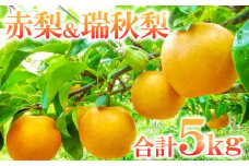 【先行予約】赤梨と瑞秋梨のセット　5㎏【梨 先行予約 赤梨 瑞秋梨 詰め合わせ セット 5㎏ 幸水梨 豊水梨 新興梨 新高梨 お楽しみ おまかせ 8月中旬～9月中旬発送 なし ナシ ギフト 贈り物 季節限定 期間限定】