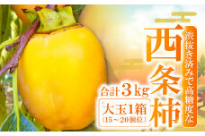 益田産　最上級の甘さの西条柿 3kg【先行予約 西条柿 3kg 大玉 渋抜き処理済み 15～20個位 柿 高糖度 果物 くだもの フルーツ 季節限定 期間限定 ギフト 贈り物 10月下旬～11月上旬発送】