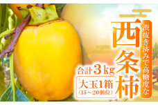 益田産　最上級の甘さの西条柿 3kg【先行予約 西条柿 3kg 大玉 渋抜き処理済み 15～20個位 柿 高糖度 果物 くだもの フルーツ 季節限定 期間限定 ギフト 贈り物 10月下旬～11月上旬発送】