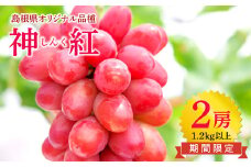 しんく！シンク！神紅！2房入り1.2kg以上【先行予約 神紅 2房 島根県オリジナル品種 高糖度 皮ごと 種なし ぶどう ブドウ 葡萄 果物 くだもの フルーツ 数量限定 季節限定 ギフト 贈り物 贈答】