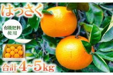 有機肥料使用「こだわりの八朔」【先行予約 八朔 4～5kg 15～20個 果物 フルーツ 柑橘類 はっさく 有機肥料 期間限定 季節限定 早期予約 2月1日～3月31日発送】