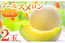 益田産アールスメロン 秋作 2玉【メロン 青肉 アールスメロン 2玉 秋作 糖度14度以上 フルーツ 果物 くだもの めろん 季節限定 期間限定 高級 ギフト 贈答 贈り物】
