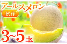 益田産アールスメロン 秋作 3～5玉【メロン アールスメロン 3~5玉 計8㎏ 秋作 糖度14度以上 季節限定 期間限定 フルーツ 果物 くだもの めろん 青肉 高級 ご褒美 贅沢 ギフト 贈答 贈り物 お歳暮】