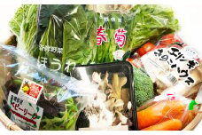 今が旬！新鮮野菜定期便(6回コース)【定期便 野菜 6回コース 詰め合わせ お楽しみ 定期 7品目～10品目 セット 旬 新鮮 冷蔵 食品 季節の野菜 おまかせ やさい】