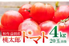 [秋作]朝採れトマト4㎏(20玉前後)【先行予約 秋作 朝採れ トマト 4kg 20玉前後 野菜 桃太郎トマト 早期予約 季節限定 期間限定 旬】