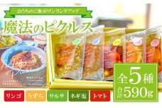 Magic Pickles　－魔法のピクルスー【ピクルス 5種 セット 詰合せ リンゴ うずら サルサ ねぎ塩 トマト 万能調味料 漬物 加工食品】