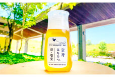 国産純度100％生のはちみつ　「空港はちみつ」・「空港はちみつマドレーヌ」のセット【空港はちみつボトル 280g×1本 そらはちスティック 25g×12本 空港はちみつマドレーヌ 5個 加工食品 蜂蜜 ハチミツ 生はちみつ ボトル ワンタッチ開閉 菓子 スイーツ 焼き菓子 洋菓子 マドレーヌ 災害備蓄用 災害食】
