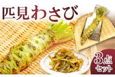 わさびセット【野菜 やさい 山葵 わさび ワサビ 根わさび 2本 粘り 辛み 甘み 手作業 加工食品 わさび漬け 1本 ご飯のお供 酒のつまみ わさびおろし器 ステンレス製 1個 詰め合わせ セット】