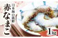 日本海の新鮮赤なまこ1㎏
