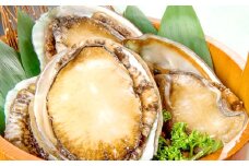 日本海の新鮮あわび 800g【先行予約 アワビ 魚介類 魚貝類 貝類 あわび 鮑 新鮮 贅沢 おつまみ バター焼き 刺身 ステーキ 冷蔵 期間限定 季節限定 早期予約 1月～3月発送】