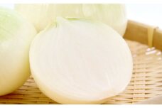 益田産新玉葱 10kg【先行予約 野菜 玉葱 新玉ねぎ 玉ねぎ たまねぎ タマネギ 新たま 10kg みずみずしい 辛みが少ない 期間限定 季節限定 早期予約】