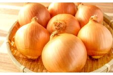 益田産手みがき玉葱 10kg【先行予約 野菜 手磨き玉ねぎ 玉葱 玉ねぎ たまねぎ タマネギ 10kg 高品質 旬 美味しい おいしい 期間限定 季節限定 早期予約】