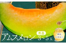 【先行予約】益田産 あまーいアムスメロン 3～5玉（秀品）【メロン 先行予約 アムスメロン めろん 3玉～5玉 糖度14度以上 季節限定 期間限定 早期予約 果物 フルーツ プレゼント 贈り物 ギフト 数量限定】