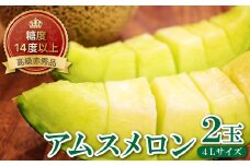 糖度14度以上のアムスメロン　高級赤秀品　2玉【メロン 先行予約 糖度14度以上 めろん アムスメロン 高級 赤秀品 高糖度 2玉 4L 早期予約 季節限定 期間限定 果物 フルーツ お土産 プレゼント 贈り物 ギフト 贈答】
