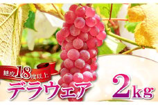 椋さんのこだわり デラウェア　2kg【ぶどう 種無し 先行予約 デラウエア 果物 くだもの フルーツ ブドウ 葡萄 期間限定 季節限定 早期予約 糖度18度以上 種なし】