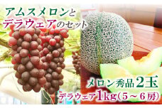糖度14度以上のアムスメロンとデラウェアのセット【先行予約 メロン デラウェア 数量限定 糖度14度以上 アムスメロン 秀品 2玉 1kg 5～6房 セット 早期予約 季節限定 期間限定 果物 くだもの フルーツ お土産 プレゼント 贈り物 贈答 ギフト 詰め合わせ】