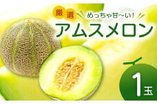 【先行予約】めっちゃ甘い大玉アムスメロン 1玉【メロン 先行予約 めろん 果物 くだもの フルーツ 季節限定 期間限定 早期予約】