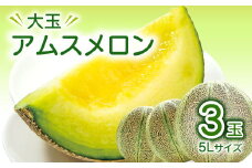 【先行予約】大玉アムスメロン　5Lサイズ3玉【メロン 先行予約 2025 めろん アムスメロン 大玉 5L 3玉 早期予約 季節限定 期間限定 果物 フルーツ お土産 プレゼント 贈り物 ご褒美 贅沢】