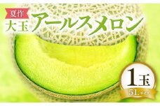 【先行予約】［夏作］大玉アールスメロン 5Lサイズ 1玉【メロン 青肉 先行予約 めろん 1玉 早期予約 期間限定 季節限定 果物 くだもの フルーツ アールスメロン 大玉 5L 7月発送】