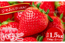 ジャムにぴったり　訳あり いちご（750g×2パック）【いちご 4月発送 訳あり 5月発送 わけあり 甘い 果物 フルーツ 苺 イチゴ ストロベリー あまい 不揃い 1.5kg 冷蔵 期間限定 季節限定】