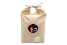 強運米「コシヒカリ」5kg【米 お米 白米 精米 コシヒカリ 5kg 5キロ 1袋 おこめ こめ ごはん 令和6年度産 2024年産】