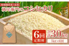 【定期便】横尾衛門のコシヒカリ 玄米 5kg×6回コース【新米 定期便 定期 6回 米 お米 玄米 特別栽培米 低農薬 低化学肥料 ブランド米 コシヒカリ 5kg×6回 合計30kg】